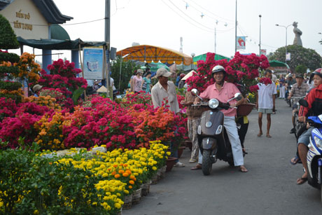 Anh Tuấn hớn hở chở hoa về nhà.