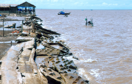 Đê biển bị sạt lỡ nghiêm trọng. Ảnh: Nhất An