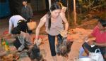 Công điện của Thủ tướng tăng cường phòng chống dịch cúm gia cầm