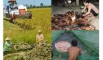 Phê duyệt quy hoạch nông nghiệp, nông thôn vùng ĐBSCL