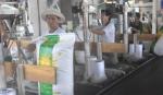 Tigifood xuất khẩu gạo sang 42 quốc gia và vùng lãnh thổ