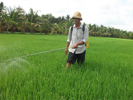 Chỉ mới bước vào đầu vụ lúa hè thu, nông dân ở khu vực phía Đông đã đối mặt với nhiều khó khăn, thách thức.