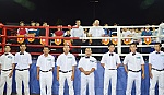 Khai mạc Giải Võ cổ truyền tỉnh Tiền Giang năm 2015