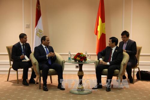 Chủ tịch nước Trương Tấn Sang và Tổng thống Ai Cập Abdel Fattah al-Sisi. Ảnh: TTXVN