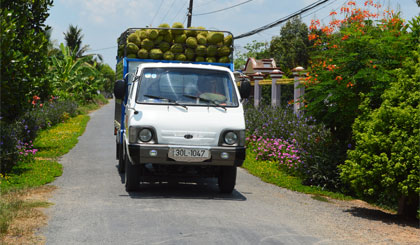 images1171875_4A__2_