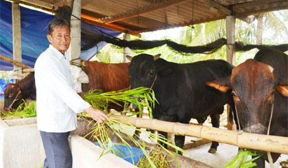 Nhờ các gói tín dụng ưu đãi góp phần hình thành các mô hình kinh tế đạt hiệu quả cao, giúp giảm nghèo bền vững.