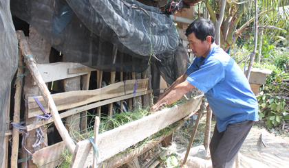 Anh Trần Văn Lớn, huyện Tân Phú Đông được hỗ trợ dê giống.