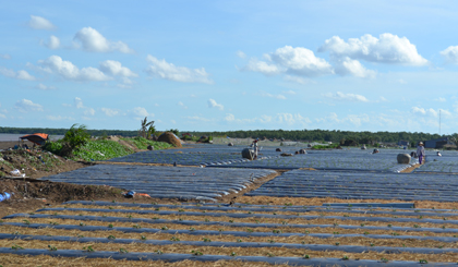 đất bãi bồi ven biển, ven sông ở một số khu vực, một số vị trí có giá trị là 15 ngàn đồng và 20 ngàn đồng.