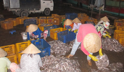 Phụ nữ xã Vàm Láng quanh năm làm lụng vất vả để kiếm sống, hầu như không có ngày 8-3.