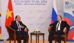 Thủ tướng Nguyễn Xuân Phúc hội kiến Tổng thống LB Nga V. Putin