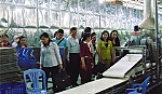Bảo vệ môi trường - vấn đề mang tính cấp bách và lâu dài