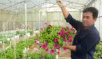 Nhiều mô hình nông nghiệp công nghệ cao