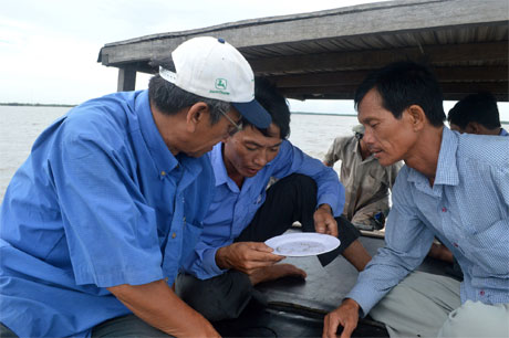 Phân tích sò huyết giống.