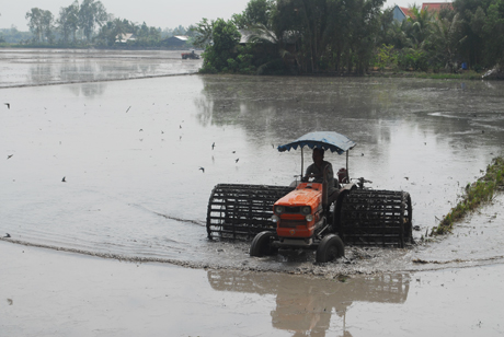 Nông dân cày ải đất trước khi xuống giống.
