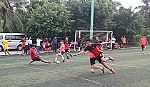 Giải bóng đá các cơ quan thi hành án dân sự ĐBSCL