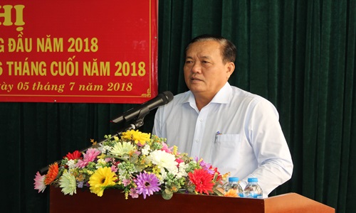 Phó Chủ tịch UBND tỉnh phát biểu tại hội nghị
