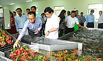 Xuất khẩu trái cây:  