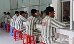 Xé nát tương lai