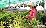 Đưa Nghị quyết Đại hội XII  Đảng bộ huyện Cái Bè vào cuộc sống
