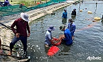 Người nuôi 