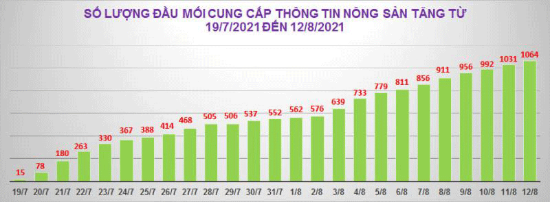 Số lượng đầu mối cung cấp thông tin nông sản tăng từ ngày 19/7 đến ngày 12/8.