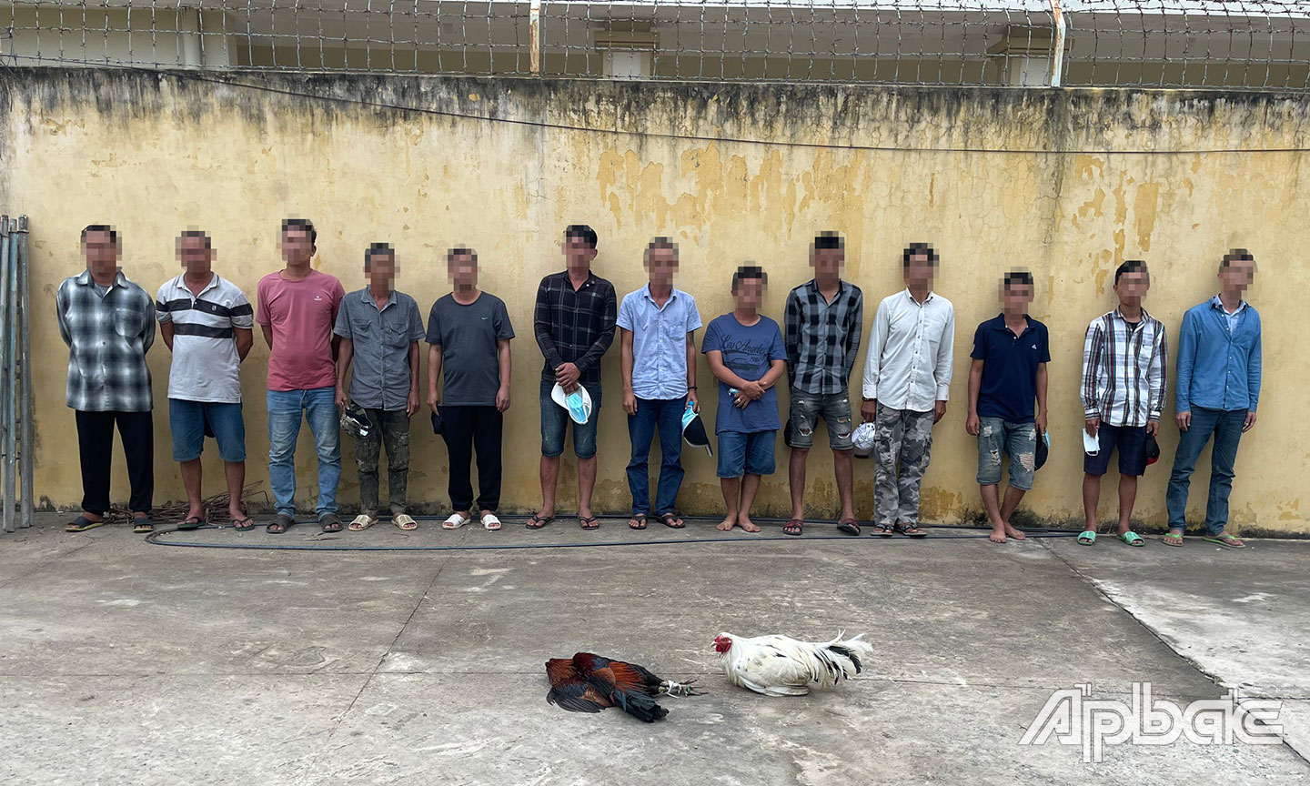 14 đố tượng bị tạm giữ.