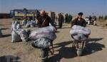 Taliban-Qatar bàn về chống khủng bố, hỗ trợ nhân đạo cho Afghanistan