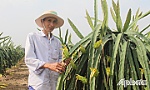 Làm giàu nhờ chuyển đổi mô hình sản xuất