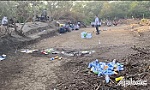Triệt phá tụ điểm đánh bạc ven biển, bắt 31 đối tượng
