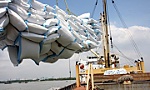Giá xuất khẩu liên tục tăng: Cơ hội tăng trưởng mới cho gạo Việt Nam