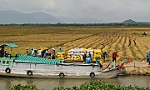 Hai địa phương chiếm tới 50% kim ngạch xuất khẩu của ĐBSCL quý 1