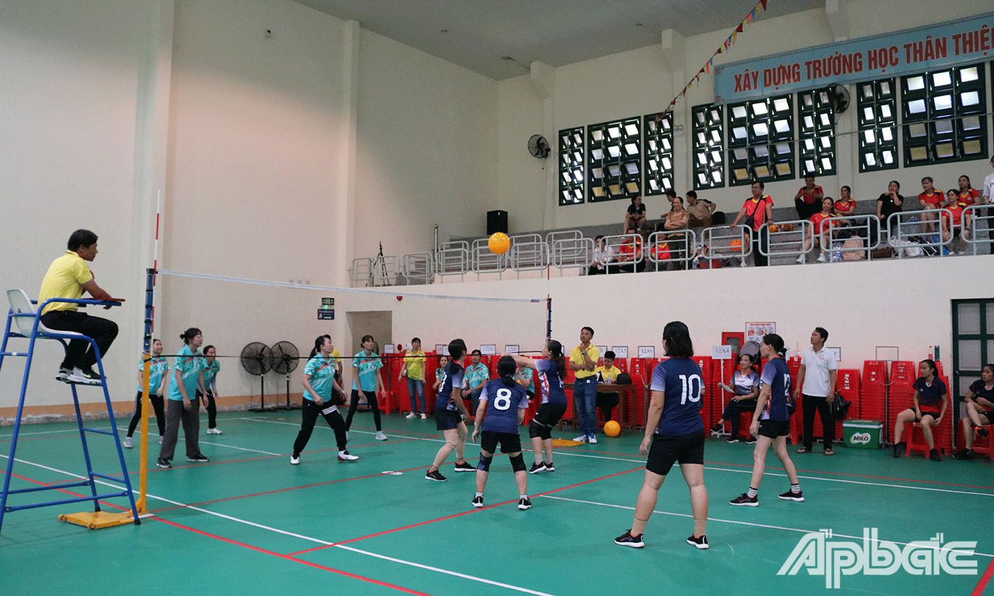 Các đội tham gia