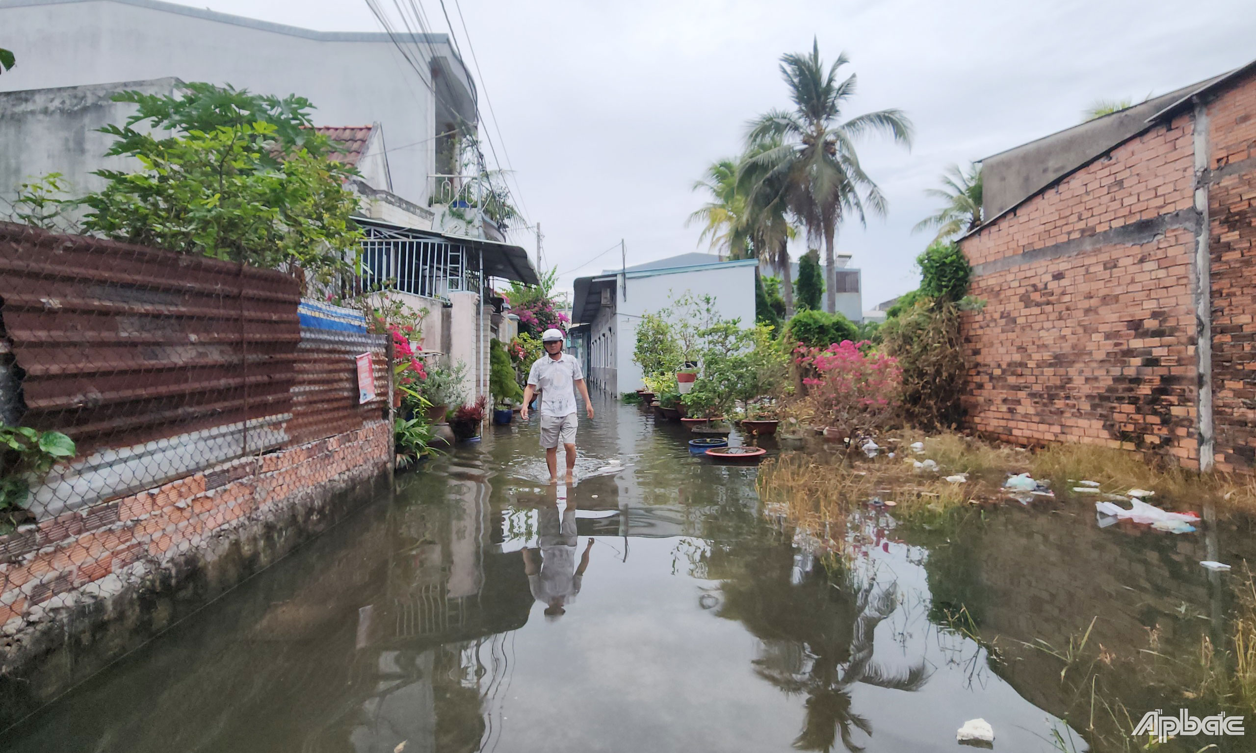 Các con hẻm tại khu phố 2, phường 10 bị ngập.