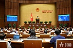 Bỏ hình phạt tử hình trong 8 tội danh