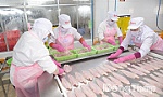 Đồng Tháp: Doanh nghiệp xuất khẩu nỗ lực thích ứng