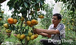 Xã Phong Hòa: Vững bước trên hành trình phát triển