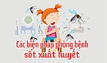 [Infographic] Các biện pháp phòng bệnh sốt xuất huyết