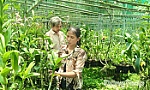 Từ vay vốn đến khởi nghiệp: Hành trình vượt khó của chị Nguyễn Thị Huệ