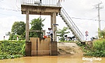 Các công trình thủy lợi đảm bảo phục vụ sản xuất nông nghiệp