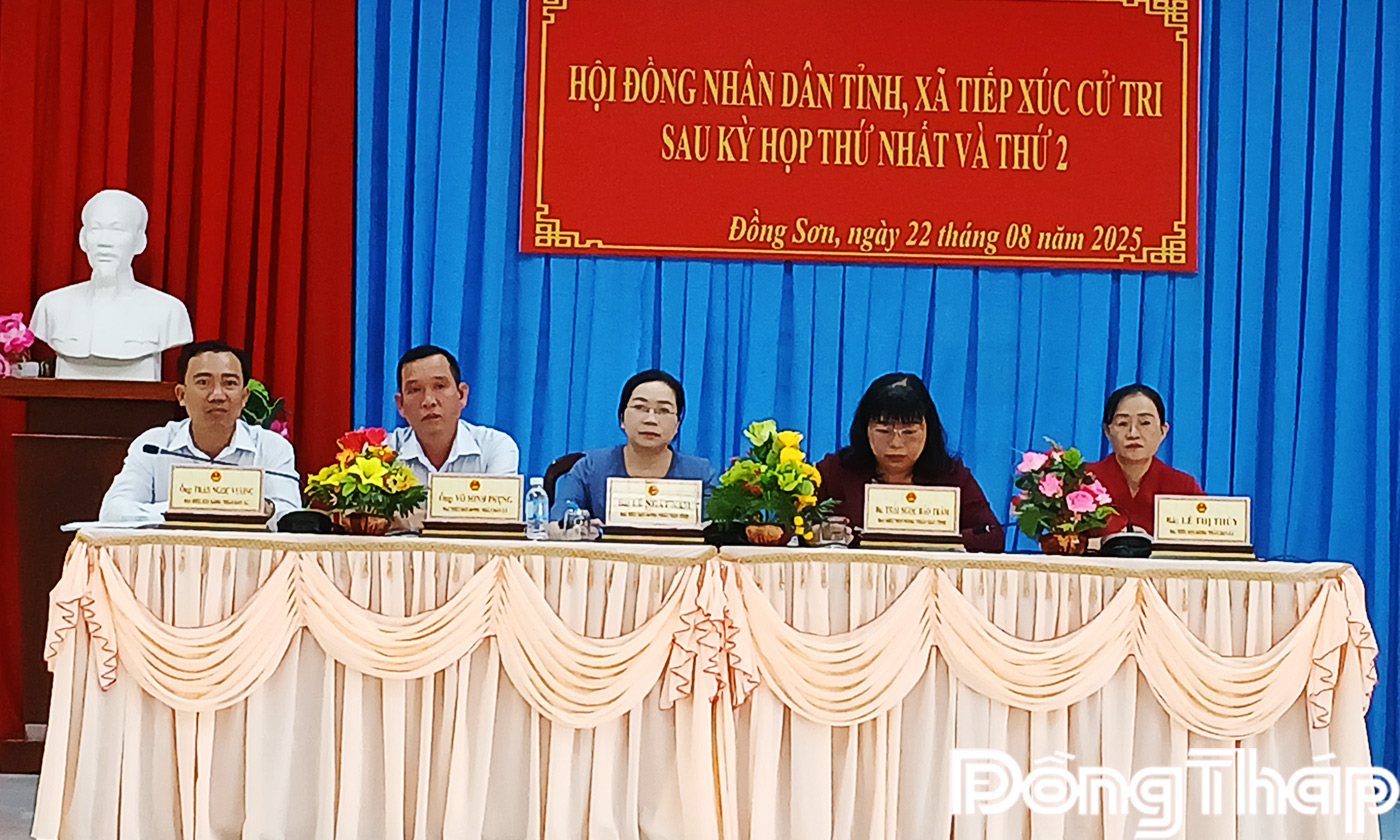 Đại biểu HĐND tỉnh, xã nghe ý kiến cử tri phát biểu