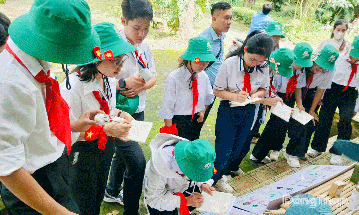 Cùng tìm hiểu về vòng tuần hoàn của Sen