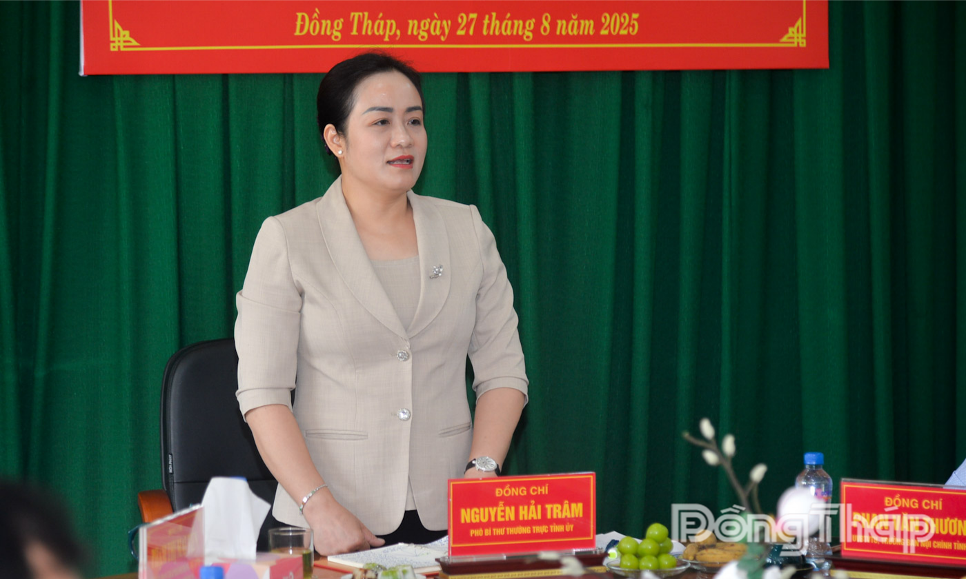 Đồng chí Nguyễn Hải Trâm, Phó Bí thư Thường trực Tỉnh ủy Đồng Tháp phát biểu tại buổi làm việc.