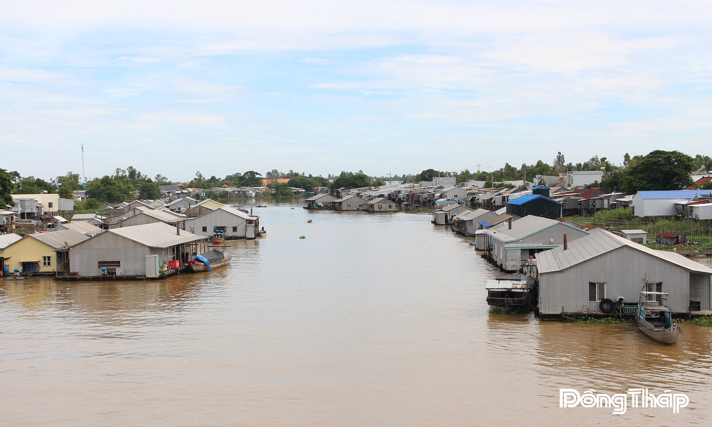  Người dân vùng biên giới nuôi cá bằng nhà bè trên sông Sở Thượng thuộc thủy phận phường Thường Lạc và phường Hồng Ngự 