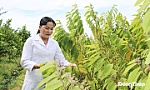 Xã Lai Vung: Phát triển sản phẩm OCOP, khởi nghiệp từ tiềm năng của địa phương