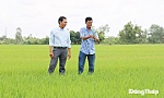 Sản xuất lúa an toàn, nâng cao giá trị sản phẩm