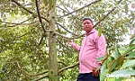 Câu chuyện thành công của nông dân Nguyễn Văn Đẹp