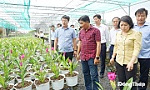 Chuẩn bị phục vụ Festival Hoa - Kiểng Sa Đéc lần II