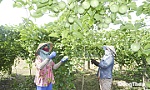 Mô hình mới nhiều tiềm năng