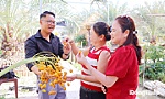 Cây chà là và giấc mơ khởi nghiệp xanh nơi vùng biên