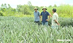 Khi sức trẻ 